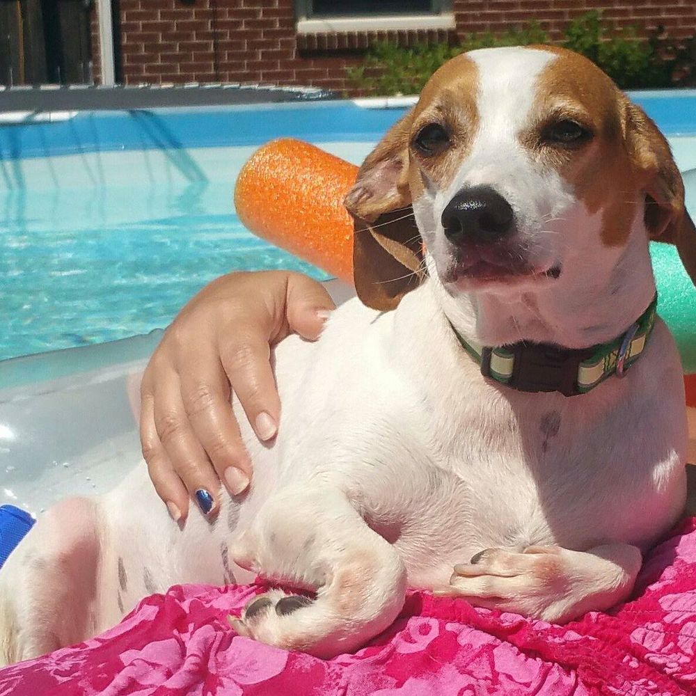 Meet your Posher, Meredith